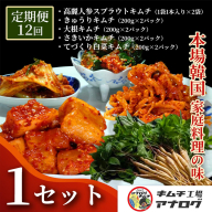 【12カ月定期便】5種の本格キムチ食べ比べ 4種のキムチ(各200g×2パック)＋スプラウトキムチ(1本入り×2袋)【熟成秘伝 きゅうり 大根 カクテキ さきいか 白菜 キムチセット 国産 手づくり 発酵食品 ご飯のお供 詰め合わせ 九州産 手作り】(H104274)