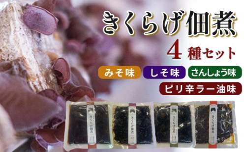 きくらげ佃煮 4種セット（みそ味、しそ味、さんしょう味、ピリ辛ラー油味） 【157_0010】 2699243 - 島根県浜田市