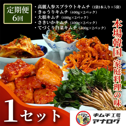 【6カ月定期便】5種の本格キムチ食べ比べ 4種のキムチ(各400g×2パック)＋スプラウトキムチ(1本入り×5袋)【熟成秘伝 きゅうり 大根 カクテキ さきいか 白菜 キムチセット 国産 手づくり 発酵食品 ご飯のお供 詰め合わせ 九州産 手作り】(H104278) 2699321 - 佐賀県神埼市