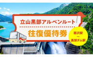 関電トンネル電気バス 往復優待券 1枚 （扇沢駅⇔黒部ダム駅）
