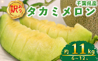 メロン 訳あり 約 11kg 貴味メロン 青肉 6 ~ 12玉 国産 めろん 果物 くだもの フルーツ デザート わけあり ワケあり 訳アリ 訳あり品 melon meron 産地直送 タカミメロン メロン 傷 不揃い おすすめ 人気 旬 青果 送料無料 千葉県 旭市 向後メロン園 kug009