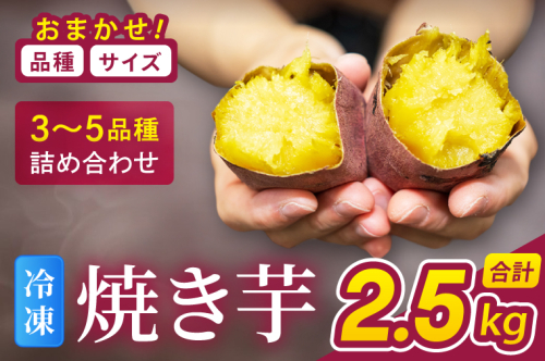 冷凍焼き芋 『Sea Sweet』 2.5kg 品種おまかせ詰め合わせ  3～5種類 詰合せ【 紅はるか / きみまろこ / 紫いも / 紅まさり / 紅あずま / 栗かぐや 】 真空パック 個包装 冷凍 焼き芋 さつまいも やきいも スイーツ 産地直送 2699376 - 茨城県大洗町