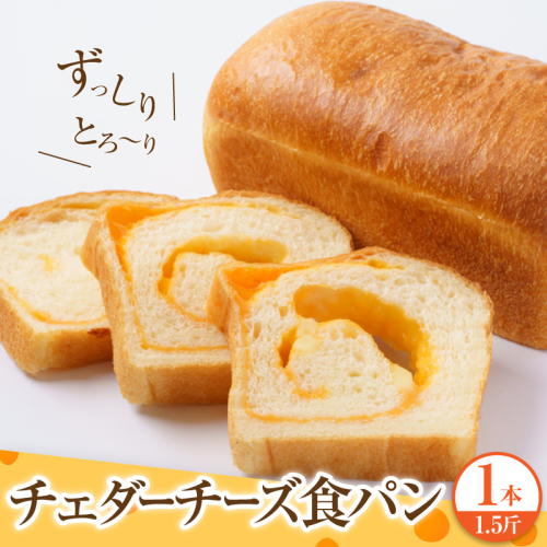 チェダーチーズ食パン1本(約1.5斤) 2699414 - 千葉県市原市