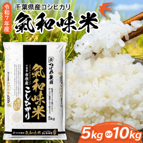 【選べる内容量】令和7年産「気和味米」千葉県産コシヒカリ 白米（5kg / 10kg） 2699417 - 千葉県市原市