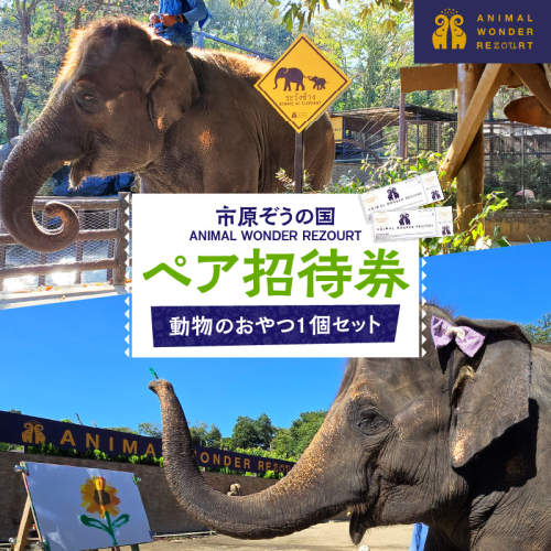 市原ぞうの国 ペア招待券＋動物のおやつ1個セット 2699435 - 千葉県市原市