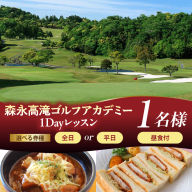 【選べる券種】森永高滝ゴルフアカデミー1Dayレッスン 1名様 昼食付（全日/平日）