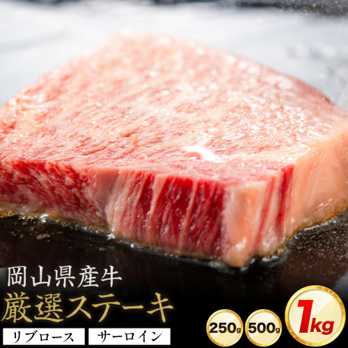 岡山県産牛 ステーキ サーロイン リブ 交雑牛 選べる 250g 500g 1kg お試し 大容量《60日以内に出荷予定(土日祝除く)》 岡山県 浅口市 肉 ステーキ 送料無料 2699519 - 岡山県浅口市