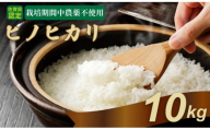 令和7年度産 佐賀県認定 「農薬：栽培期間中不使用」   ヒノヒカリ（10㎏）しもむら農園 佐賀 農薬不使用  一等米 精米 白米 ブランド米 お米 白飯 人気 ランキング  高評価
