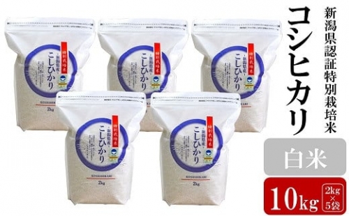 新潟県認証特別栽培米 コシヒカリ 10kg（2㎏×5袋）