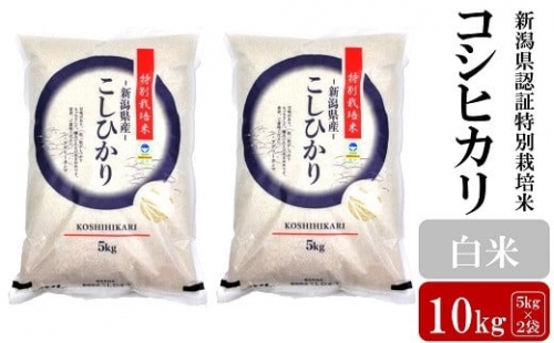 新潟県認証特別栽培米 コシヒカリ 10kg（5㎏×2袋） 269957 - 新潟県柏崎市