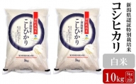 【令和5年産米】新潟県認証特別栽培米 コシヒカリ 白米 10kg（5kg×2袋）[ZB361]