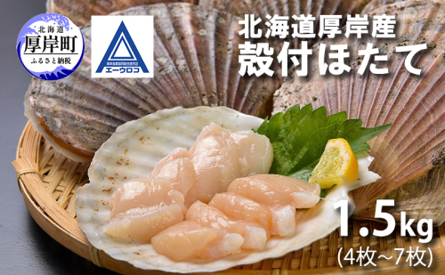 新鮮 北海道 厚岸産 殻付ほたて 1.5kg(4枚～7枚) [ ホタテ 帆立 ほたて 産地直送 貝 バーベキュー ] 2699581 - 北海道厚岸町