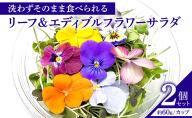 栽培期間中無農薬で安心！屋内水耕栽培で育てたリーフ＆エディブルフラワーサラダ×2カップ 信州野菜のマイクロリーフ入り！ 食用花 お花 野菜 料理 サラダ