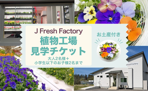 自動車部品メーカーが作った植物工場！エディブルフラワーの収穫体験付き工場見学（大人2名＋小学生以下2名まで）栽培期間中無農薬で育てたリーフ＆エディブルフラワーサラダカップのお土産付き 食用花 お花 サラダ 工場見学 体験 チケット 2699586 - 長野県上田市