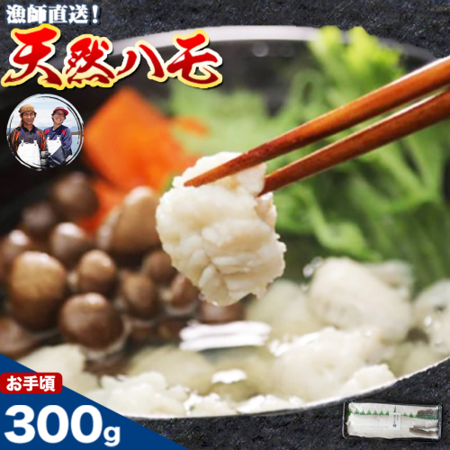 産地直送！ハモ お手頃ハモ 300g《7月上旬-9月末頃出荷予定》熊本県 葦北郡 津奈木町 平国丸 旬 旬の魚 鰻 鱧 湯引き 天ぷら 新鮮 お手頃 2699736 - 熊本県津奈木町