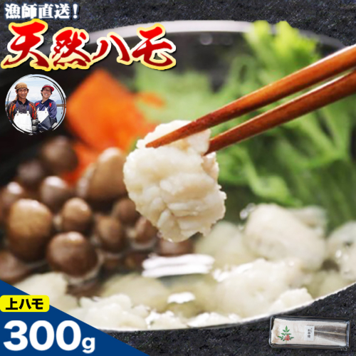 産地直送！ハモ 上ハモ 300g《7月上旬-9月末頃出荷予定》熊本県 葦北郡 津奈木町 平国丸 旬 旬の魚 鰻 鱧 湯引き 天ぷら 新鮮 上 2699747 - 熊本県津奈木町
