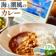 海と潮風のカレー 850g (170g × 5個) ゆいやわす《30日以内に出荷予定(土日祝除く)》熊本県 葦北郡 津奈木町 カレー 簡単調理 つなぎFARM サラダ玉ねぎ使用