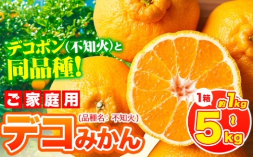 デコポン ( 不知火 )と同品種！デコみかん 熊本県産 (津奈木町産含む) 訳あり 選べる容量 1kg 2kg 5kg 柑橘《2月上旬-4月上旬頃出荷》 みかん フルーツ 不知火 訳あり 訳アリ ご家庭用 でこみかん みかん 果物 予約受付 2699848 - 熊本県津奈木町