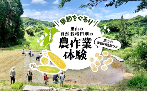 W03508　季節をぐるり　里山の自然栽培田畑の農作業体験　里山の季節の軽食つき 2699851 - 千葉県大多喜町