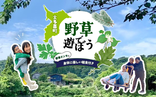 W01803  野草で遊ぼう　野草チンキと身体に優しい軽食つき 2699852 - 千葉県大多喜町