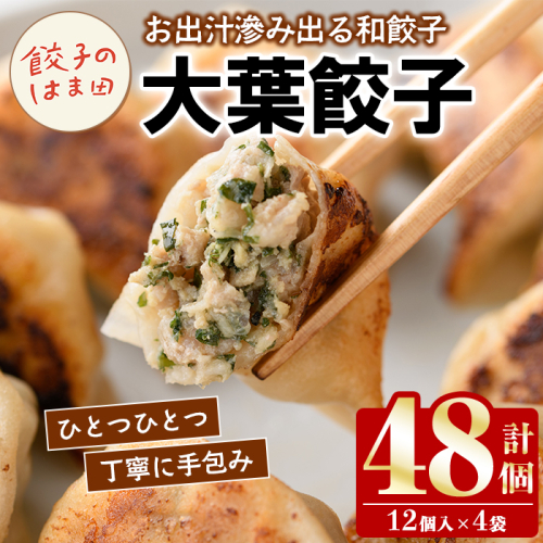 大葉餃子(12個入×4袋・計48個) 餃子 生餃子 ギョウザ ぎょうざ ギョーザ セット 詰め合わせ おかず お惣菜 冷凍 和風 水餃子 大葉 手作り 【餃子のはま田】akn096-02 2699882 - 鹿児島県阿久根市