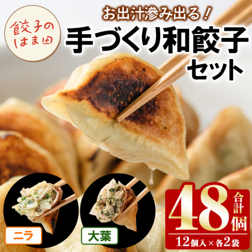 手づくり和餃子セット(ニラ餃子12個入×2袋+大葉餃子12個入×2袋・合計48個) 餃子 生餃子 ギョウザ ぎょうざ ギョーザ セット 詰め合わせ おかず お惣菜 冷凍 和風 水餃子 にら ニラ 大葉 手作り 食べ比べ 【餃子のはま田】akn096-03 2699883 - 鹿児島県阿久根市