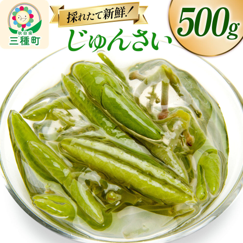 じゅんさい 500g 秋田県山本郡三種町産 [じゅんさい 秋田県産 国産 自然食品] 2699904 - 秋田県三種町