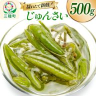 じゅんさい 500g 秋田県山本郡三種町産 [じゅんさい 秋田県産 国産 自然食品]