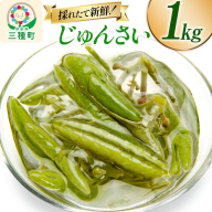 じゅんさい 1kg 秋田県山本郡三種町産 [じゅんさい 秋田県産 国産 自然食品]