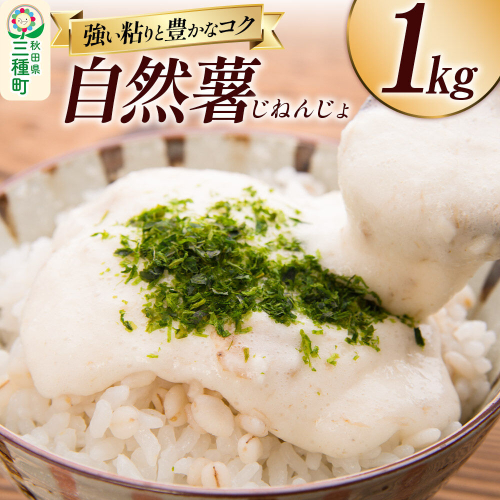 自然薯 1kg 秋田県山本郡三種町産 山芋 [山芋 自然薯 とろろ 国産] 2699907 - 秋田県三種町