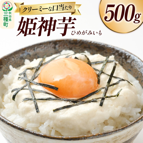 姫神芋 500g 秋田県山本郡三種町産 長芋 [長芋 粘り とろろ 国産 濃厚] 2699909 - 秋田県三種町