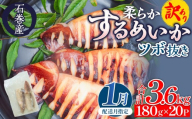 【1月配送】 訳あり 石巻産 柔らか するめいか ツボ抜き 180g × 20P スルメイカ いか イカ 烏賊 不揃い 小分け 下処理済み 時短調理 こだわり 冷凍 海鮮 魚介 おかず おつまみ 煮物 焼きイカ BBQ バーベキュー 宮城県 石巻市