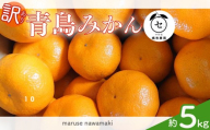 【訳あり】みかん 青島 みかん 約 5kg 先行予約  2026年 12月 中旬 から 発送 青島みかん あおしまみかん アオシマ ミカン 蜜柑 mikan 柑橘 果物 フルーツ ふるーつ 濃厚 甘い 甘み おやつ 数量限定 果汁 果実 農家直送 産地直送 ギフト プレゼント 贈答 お中元 お歳暮 美味しい 新鮮 国産 安心 静岡みかん 静岡蜜柑 牧之原みかん マルセ縄巻農園 牧之原市 静岡県