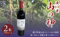 山の神 赤ワイン 2本 【ふるさと納税 人気 おすすめ ランキング ワイン 赤ワイン マイルド 飲みやすい 地域密着 復活 北海道 置戸町 おけとちょう】 OTI002