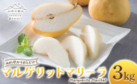 【山形の極み】 贈答用 山形県産 西洋梨 マルゲリットマリーラ 3kg(6～9玉) 2026年9月下旬から順次発送 西洋なし 洋なし 秋果実 果物 くだもの フルーツ 化粧箱 ギフト箱 贈答 贈り物 ギフト プレゼント 自宅 家庭 山形県 西川町 月山 FYN6-447