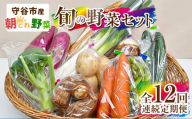 【定期便 12回】【毎月お届け】守谷市産 旬の野菜セット | 野菜 やさい 野菜セット 旬 国産 茨城県産 セット 詰め合わせ 定期 定期配送 冷蔵