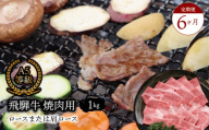 【６ヶ月定期便】 Ａ5等級 飛騨牛 焼肉用 1kg ロースまたは肩ロース