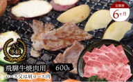 【６ヶ月定期便】 A5等級 飛騨牛 焼肉用 600ｇ ロース又は肩ロース肉