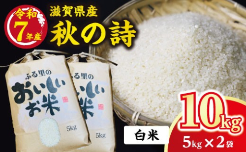 令和7年産　近江米 秋の詩【10kg（5Kg×2袋）】環境こだわり米【AB60W】 2700666 - 滋賀県近江八幡市