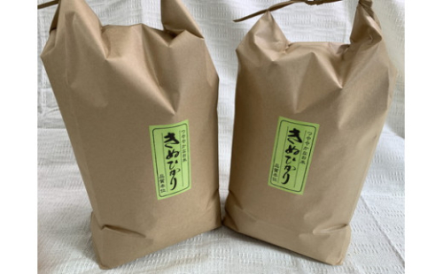 令和7年産　近江米　キヌヒカリ【10kg（5kg×2袋）】環境こだわり米【AB63W】 2700669 - 滋賀県近江八幡市