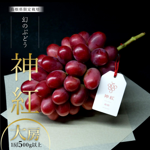 【朝採直送】島根県限定栽培“幻の赤ぶどう”神紅（しんく）” 園長厳選 糖度20度以上、1房 500g以上の大房 2700679 - 島根県邑南町