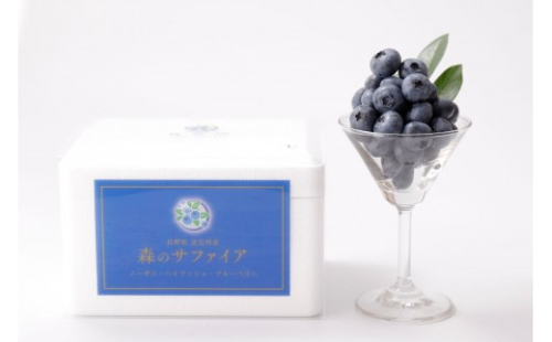 【Lサイズ】生ブルーベリー「森のサファイア」500g | ブルーベリー  フルーツ 冷蔵  人気 おすすめ ギフト 送料無料 長野県 長野市 信州 信濃 ふるさと納税 2700695 - 長野県長野市