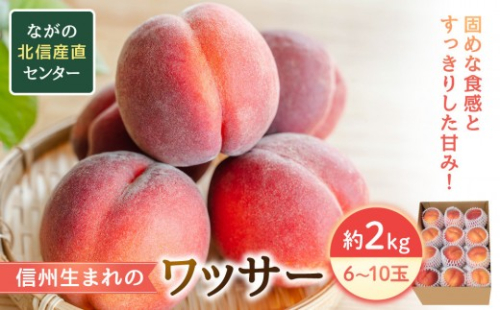 長野県長野市産　旬の桃ワッサー約２kg箱 |  桃 もも モモ フルーツ 果物 旬 人気 おすすめ  送料無料  長野県 長野市 信州 信濃 ふるさと納税 2700696 - 長野県長野市