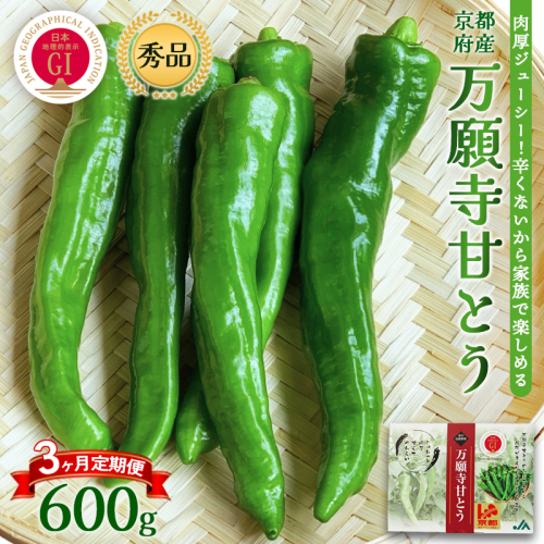 【定期便】 万願寺甘とう 秀品 600g×3回 | 京野菜 舞鶴市 万願寺甘とう 万願寺とうがらし 秀品 夏野菜 とうがらし 野菜ギフト 中丹 2700765 - 京都府舞鶴市