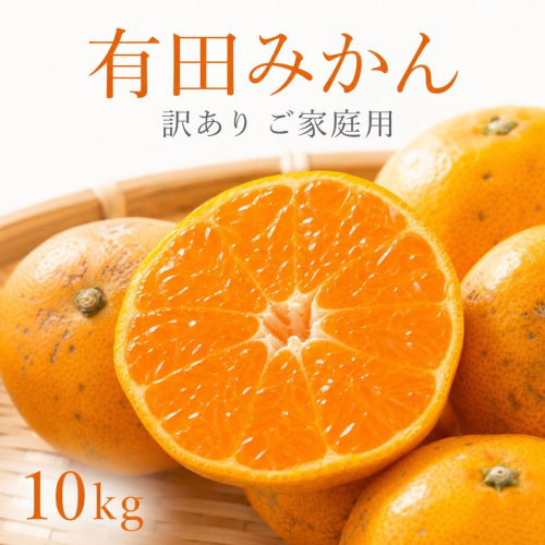 【先行予約】【訳あり・ご家庭用】有田みかん 約10kg（2S～2Lサイズ混合）和歌山県産 2700828 - 和歌山県美浜町