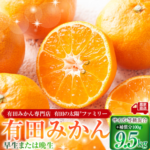有田みかん専門店 有田の太陽(登録商標)ファミリー 早生または晩生 有田みかん 9.5kg＋補償分100g 山採れ・サイズ・等級 混合 2701402 - 和歌山県有田川町