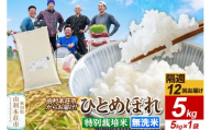 《2週間毎お届け》【定期便12回】令和8年産 新米受付【無洗米】ひとめぼれ 5kg（5kg×1袋）特別栽培米 秋田県産 [ひとめぼれ 新米予約 米 お米 無洗米 特別栽培米 ブランド米 食卓 おにぎり 秋田県産 秋田]
