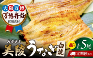 [全3回定期便]鰻 鰻の白焼 3尾/美陵鰻 鰻 うなぎ ウナギ 蒲焼 蒲焼き かば焼き かばやき 白焼き 白焼 しろやき しらやき 特大 肉厚 うな重 うな丼 ひつまぶし 惣菜 おかず タレ 山椒 国産 土用 丑の日 ギフト / 大阪府藤井寺市/Giverichホールディングス株式会社 [BLAM049]