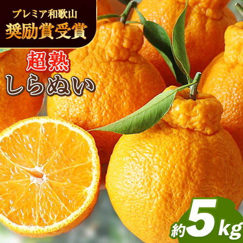 採れたて新鮮 濃厚な甘さ 超完熟しらぬい 5kg まるまつ農園《2027年3月中旬-4月末頃より出荷》 和歌山県 日高川町 不知火 柑橘 しらぬい 完熟 （ デコポン と同品種） 2701675 - 和歌山県日高川町