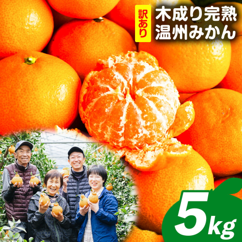 訳あり 木成り完熟温州 みかん 約 5kg ミックスサイズ 和歌山県産 まるまつ農園《12月上旬-1月末頃出荷》 和歌山県 日高川町 温州みかん みかん 完熟 2701703 - 和歌山県日高川町